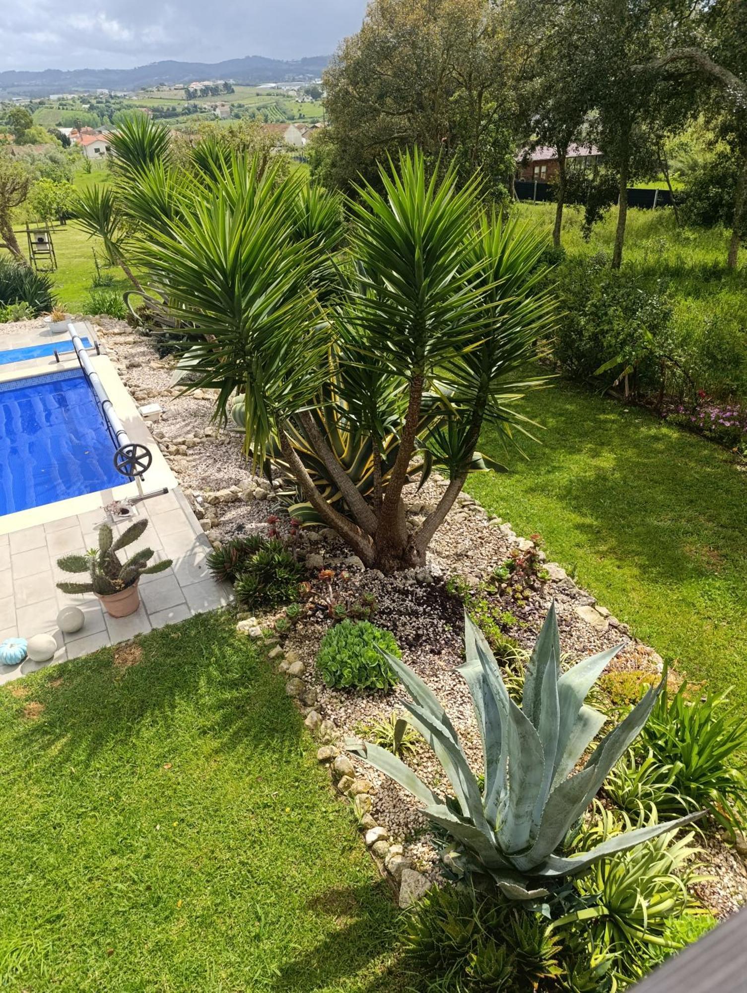 Gîte CANTO AZUL Casal da Carreira Extérieur photo
